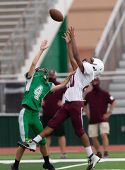 Fototapeta premium Amazing athletes making great catches and runs during a competitive football game