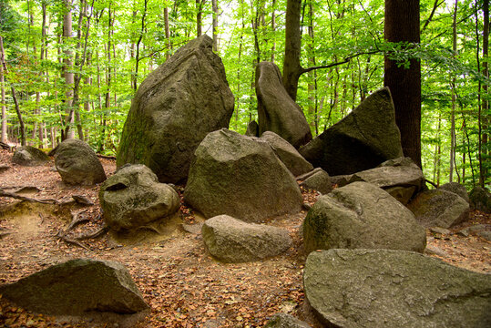 Felsbl&ouml;cke im Felsenmeer
Felsenlandschaft aus dunkelgrauem Quarzdiorit &ndash; Naturschutzgebiet
Deutschland / Hessen
Lautertal-Reichenbach im Odenwald