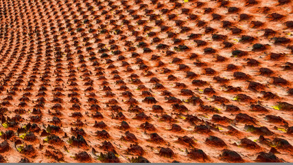 abstract three-dimensional background texture. 3d render illustration