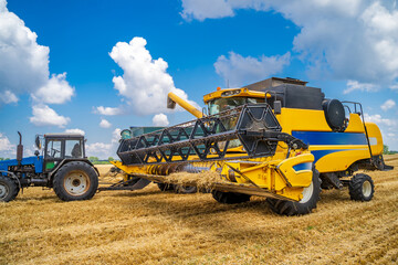 Obraz premium Two working gathering harvest machines. Harvest gathering in gold field. Dry wheat.