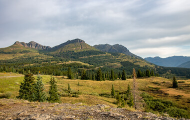 Naklejka premium Molas Pass Overlook