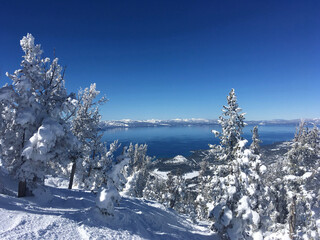 View of Lake Tahoe  framed by snow covered trees from high up on Heavenly Ski Resort, Lake Tahoe,...