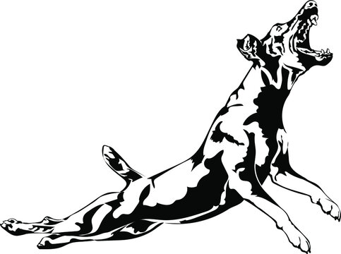 Jagdterrier dog jumping vector silhouette illustration