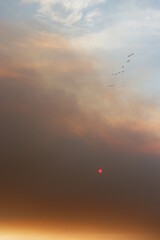 Obraz na płótnie Canvas Smoky sunset 