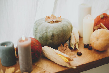 Pumpkins, autumn leaves and burning rustic candles on wooden windowsill in sunny room. Hello Autumn and Happy Thanksgiving decor, celebrating autumn holidays at home