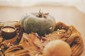 Happy Thanksgiving and Halloween, celebrating autumn holidays at cozy home. Pumpkin, autumn leaves, spices and candle on cozy knitted sweater in warm yellow lights.