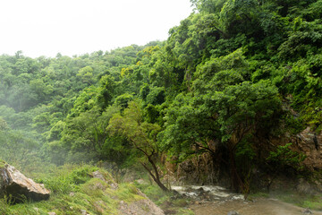 Fototapeta na wymiar cascada del Mixcoate