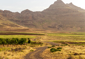 a path in the mountains with green trees