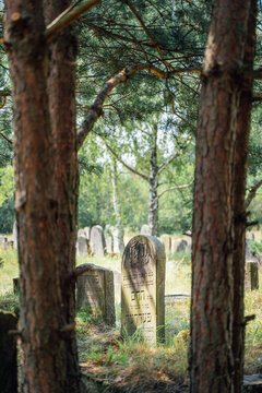 Tombstone at abandoned jewish cemetery in the middle of forest in Zarki, Poland. 18th century graveyard hidden in the woods. Forgotten tombstones deteriorating. 