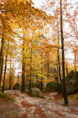 Dovbush Rocks in Bubnishche. Beautiful autumn landscape of fantastic stone boulders among the picturesque forests in the Carpathian mountains. Travel destinations in Eastern Europe and Ukraine