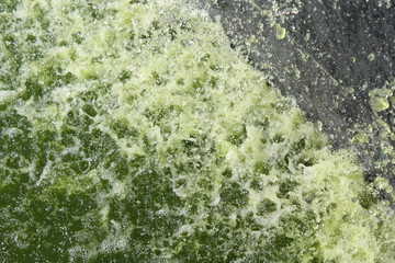 Spruzzi di acqua verde in una fontana in autunno