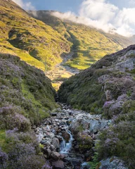 Selbstklebende Fototapeten Khaki Scenic view of a hill and small stream in Glencoe, Scotland. Beautiful sunny day and blooming heather along stream  © hopsalka