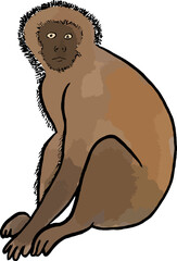 hand drawn watercolor monkey