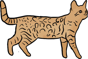 hand drawn watercolor cat