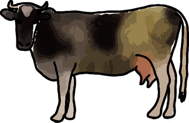 hand drawn watercolor cow