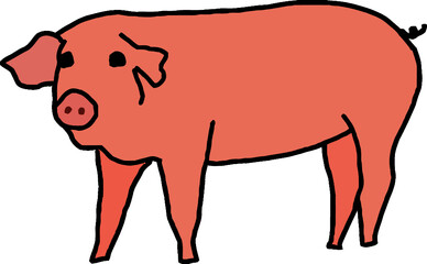 hand drawn watercolor pig