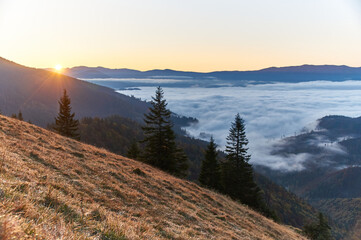Low Tatras, meadows, dawn, reddish