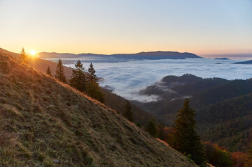 Low Tatras, meadows, dawn, reddish
