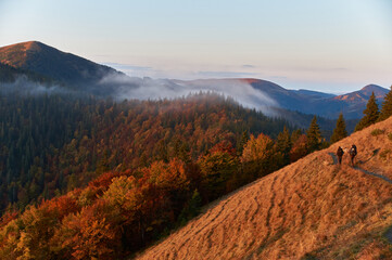 Low Tatras, meadows, dawn, reddish