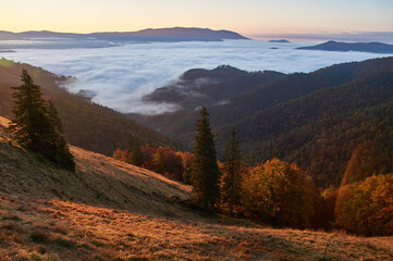 Low Tatras, meadows, dawn, reddish