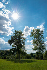 Obraz premium Himmel Bäume und Sonne