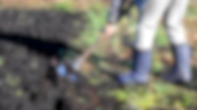 Blurred background. Man with a shovel digs his garden sunny day
