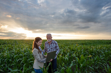 Business woman and senior farmer with laptop in field - obrazy, fototapety, plakaty