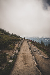 Unidentifiable hiker in the distance on foggy trail in Mt. Rainier National Park, Washington, Pacific Northwest United States
