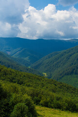 Beautiful landscape with mountains and a cloudy sky in the summer. Vertical image.