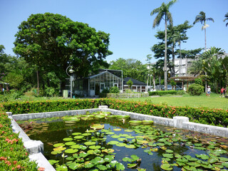 Sunny view of the lily pond of Taipei Botanical Garden
