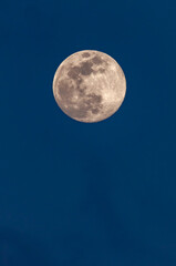 Naklejka na ściany i meble Full moon in the blue sky