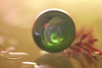 moments under the sun light