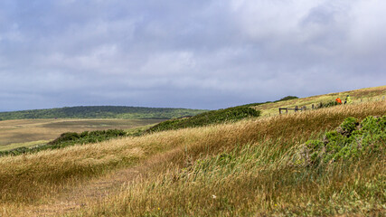 Fototapeta premium Seven Sisters hiking trail, UK.