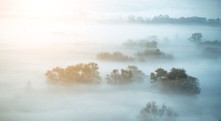 Atmospheric landscape covered with autumn mist