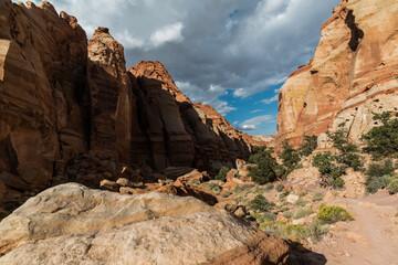 Obraz premium The Red Sandstone Cliffs Along The Waterpocket Fold at The Entrance Into Cohab Canyon, Capitol Reef National Park, Utah, USA