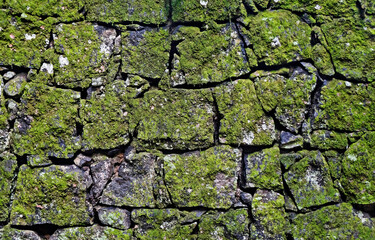 Stone wall with moss background