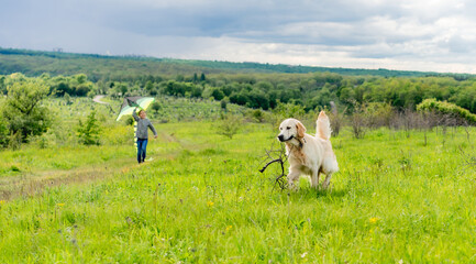 Cute dog with stick walking with pretty girl flying kite in spring nature