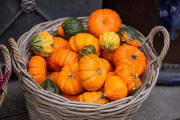 small decorative orange pumpkins close up in a basket