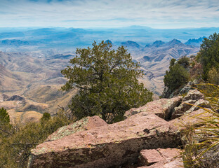 Fototapeta na wymiar The South Rim And The Chisos Mountains Across The Chihuahuan Desert, Big Bend National Park, Texas, USA