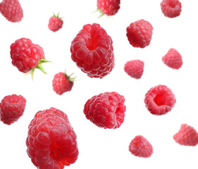 Fresh ripe raspberries falling on white background