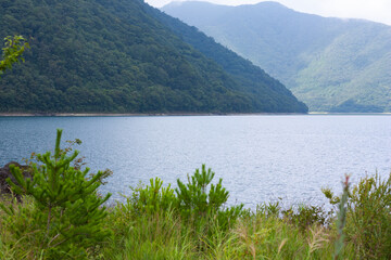 夏の湖の風景