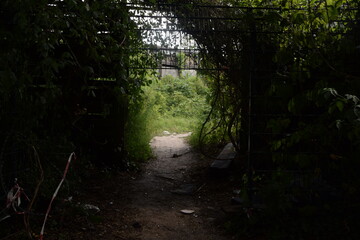 Lost Place: Blubb Berlin