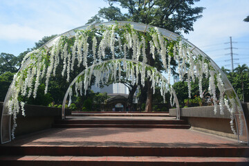 Paco park cemetery pathway steps and arch in Manila, Philippines