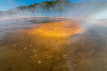 Bacteria and Mud Formations at the Grand Prismatic Spring, Yellowstone National Park