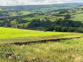Fototapeta na wymiar Rural landscape, with fields, meadows, horses and hills in the distance near, Haworth, Bradford, UK