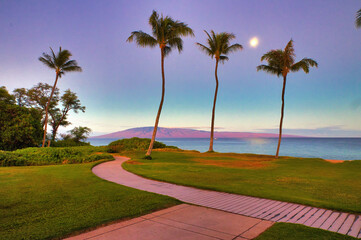 Palm trees with setting moon over Lanai on Maui.