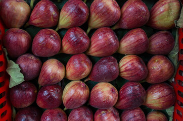 Many whole fresh purple figs as background, with drops. Top view.