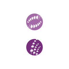 Lavender Logo Template vector symbol