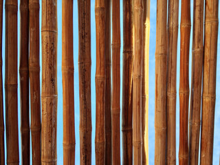 bamboo slats background blue sky
