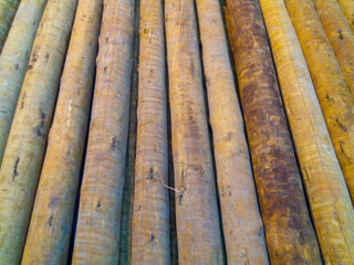 art abstract wood brown tree